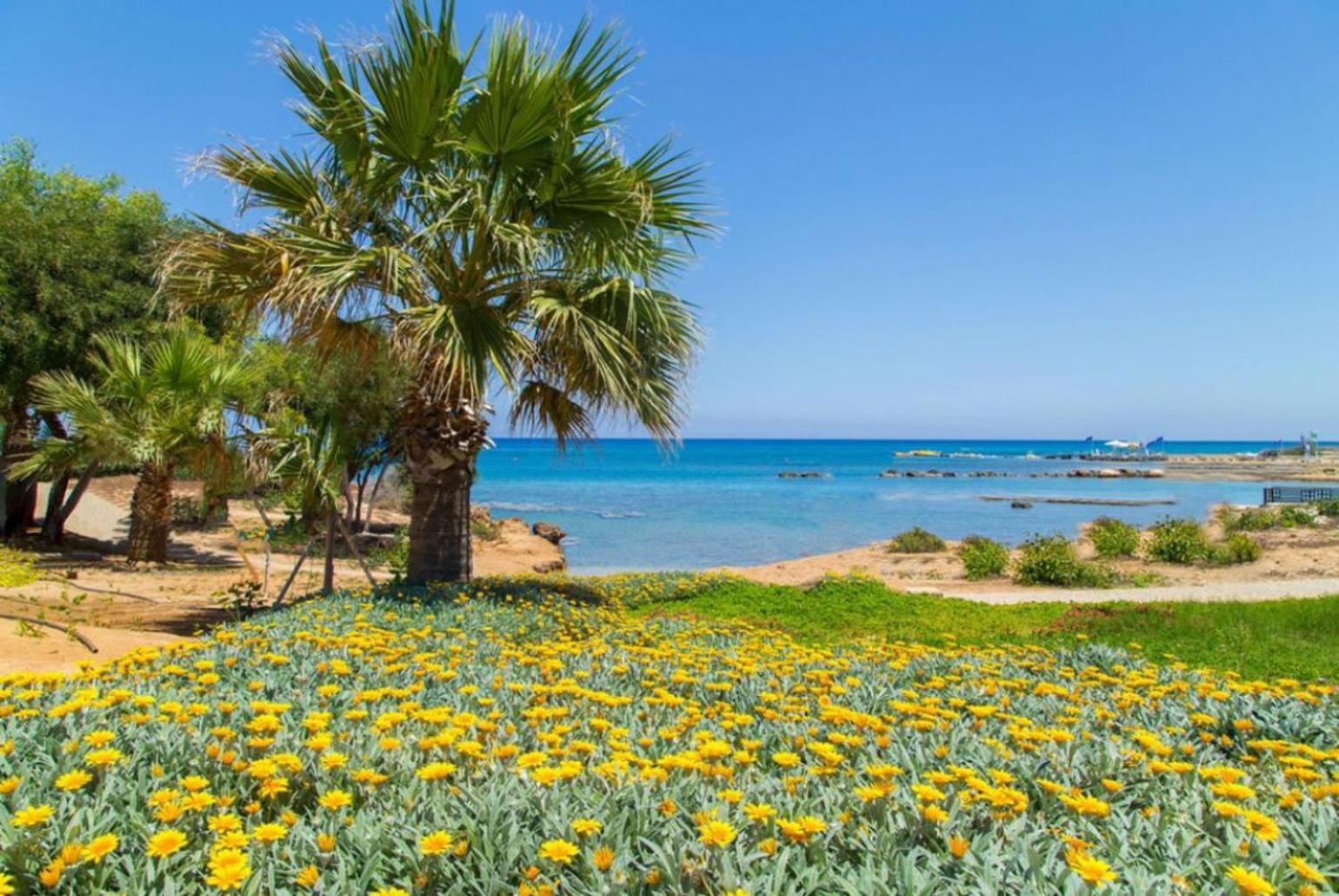 Villa Constantinos Kato Yialia Екстер'єр фото